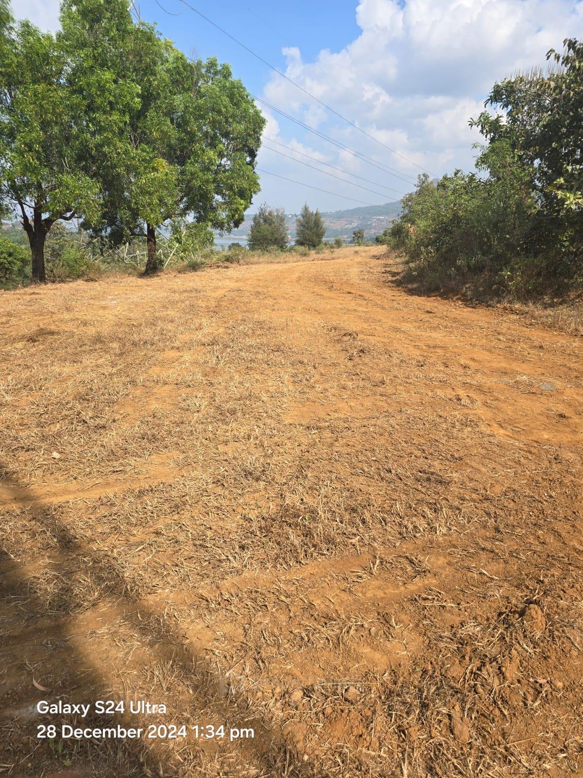 plot view