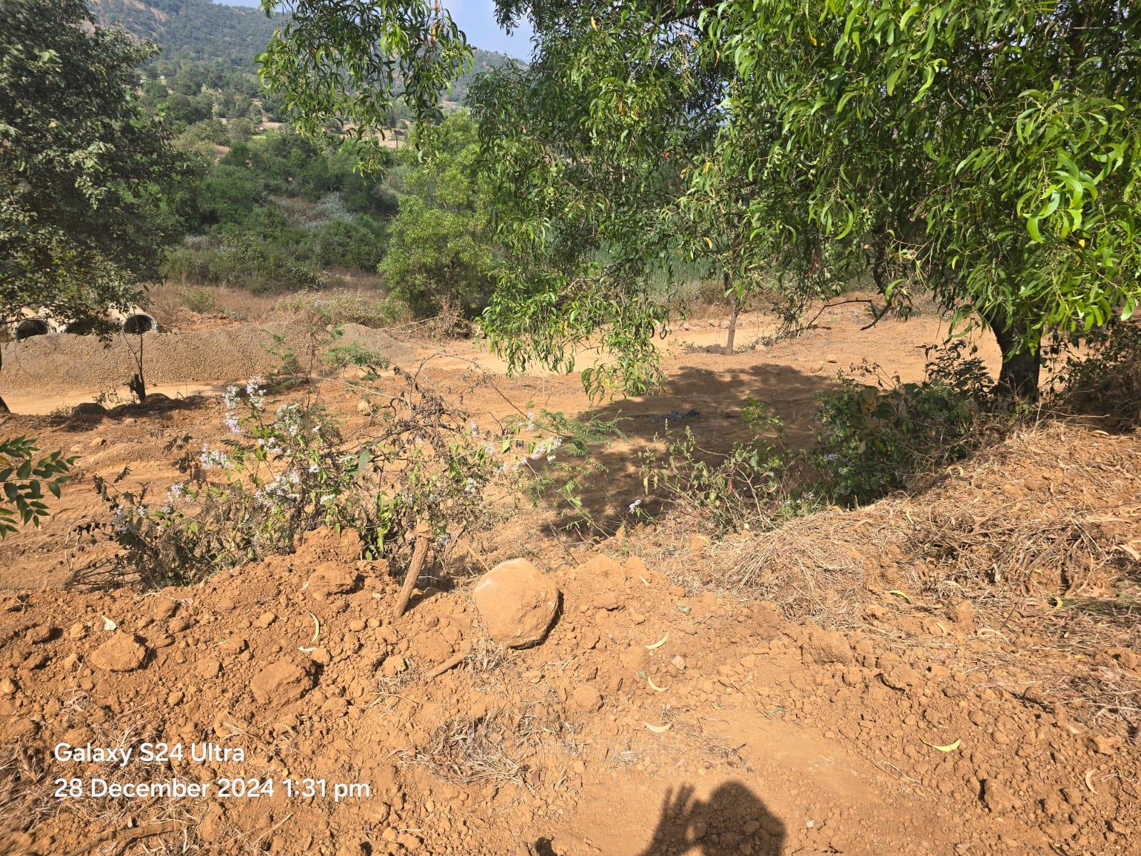 plot view