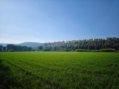 Agricultural Land for sale in Khandwa Road area, Indore