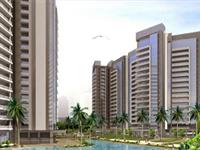 3 Bedroom Flat for sale in Tulip Orange, Golf Course Extension Rd, Gurgaon