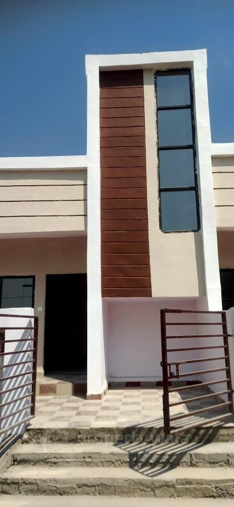 Elevation