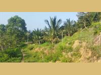 Agricultural Plot / Land for sale in Veerappanur, Coimbatore