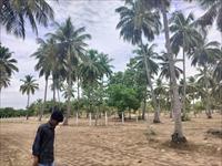Agricultural Plot / Land for sale in Marakkanam, Villupuram