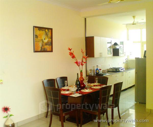 Dinning Room