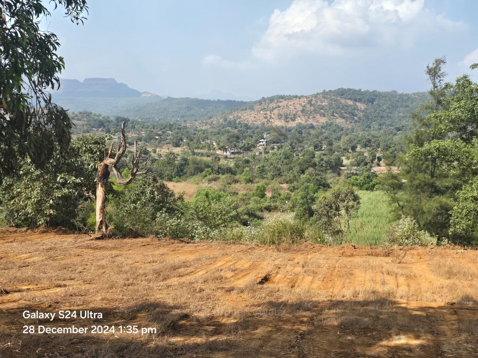 plot view