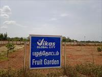 Fruits Garden