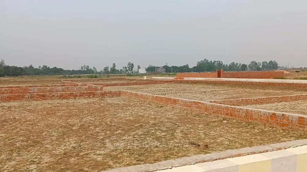 Side View