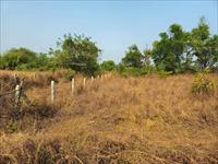 Agricultural Plot / Land for sale in Mangaon, Raigad