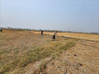 Agricultural Plot / Land for sale in Sultanpur Road area, Lucknow