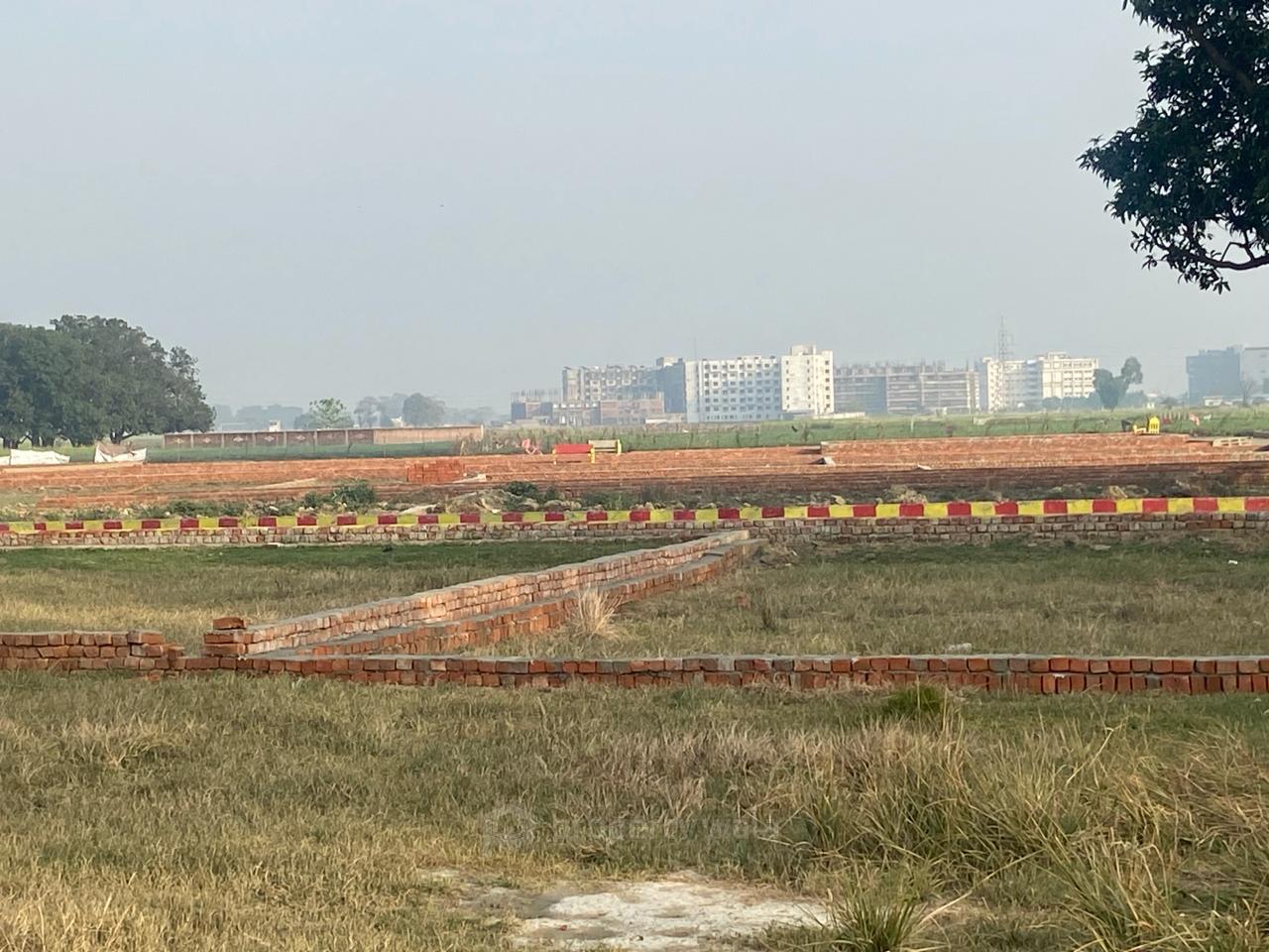 plot View