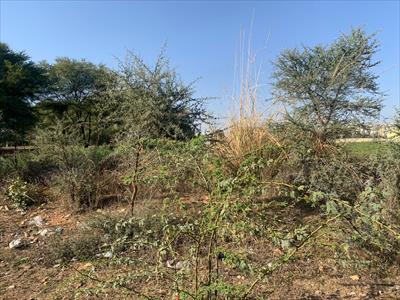 Residential Land for sale in Jagatpura, Jaipur