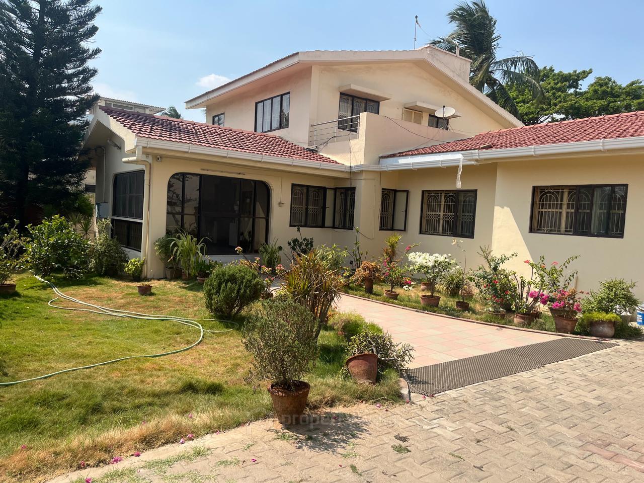 Front View