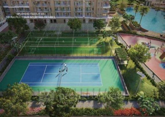 Bascket Ball court