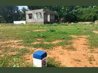 Land for sale in Nanjikottai Road area, Thanjavur