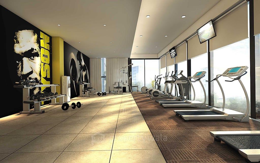Gymnasium