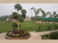 Land for sale in Dkrrish Green Beauty Farms, Sector 135, Noida