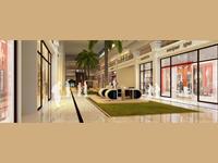Spectrum Metro Mall : Get Retail Shops within your budget!