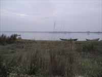 4 Acres Riverside Land For Resort - Guest House in Kolaghat