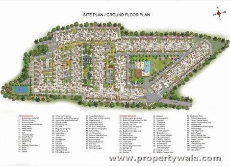 Site Plan