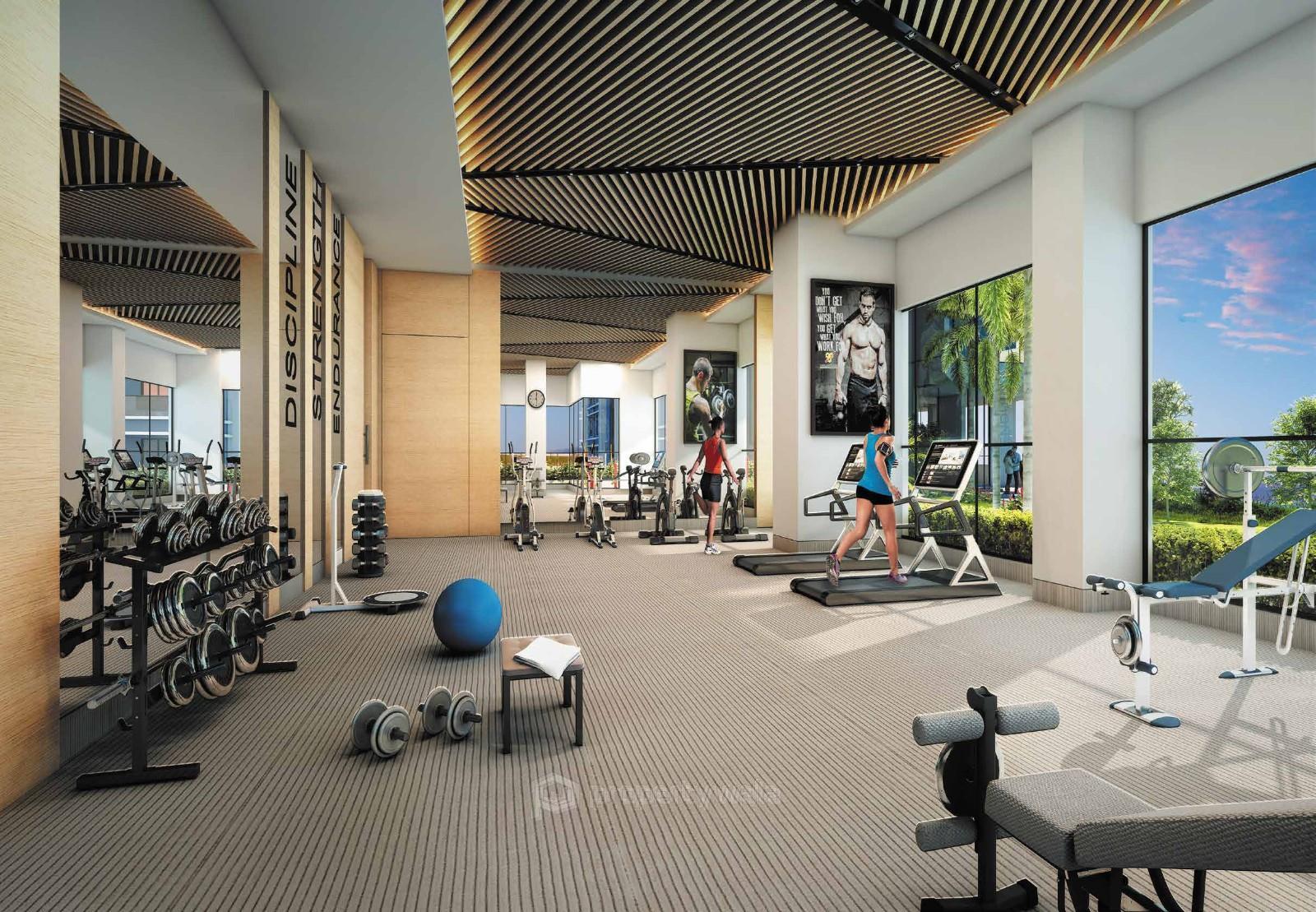 Project - Gymnasium