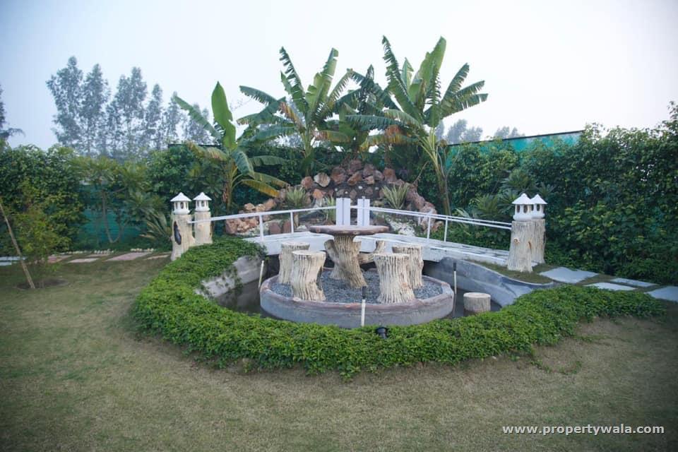 Garden
