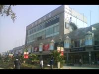 Showroom in Saket for Rent