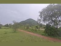 4 Acre, RED SOIL AGRICULTURE LAND' FOR SALE