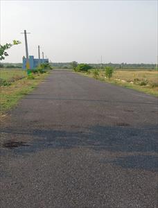 Residential Land for sale in Gauribidanur, Chikkaballapur