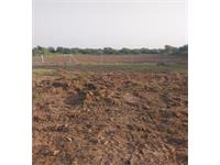 Agricultural Plot / Land for sale in Kadi, Mahesana