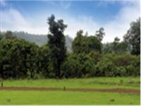 1 Bedroom Flat for sale in Najah Eco Valley City, Shahapur, Thane