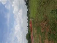 1.45 Acre agriculture land sale Ameri Motipur Patan Durg Road