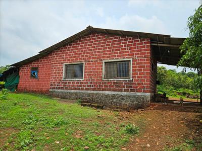2 Bedroom Farm House for sale in Mangaon, Raigad