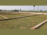 Land for sale in Yamuna Expressway, Greater Noida