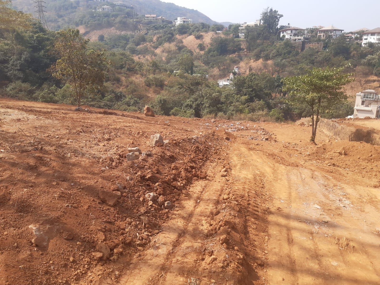 plot view