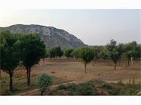 Land for resorts near Kukas Jaipur