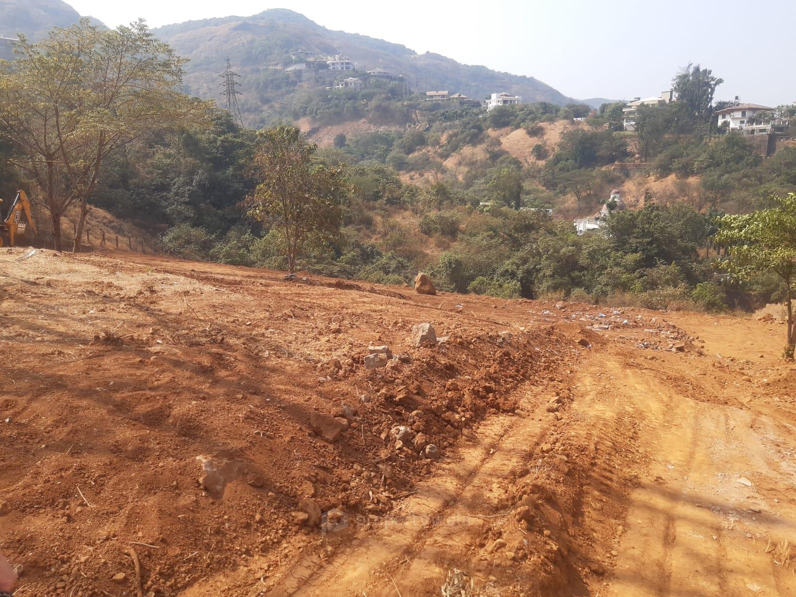 plot view
