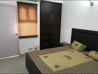 monthly basis Fully furnished 3bhk HOLIDAY HOME with covered car parking for rent near Apollo...