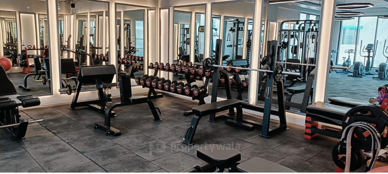 Gymnasium