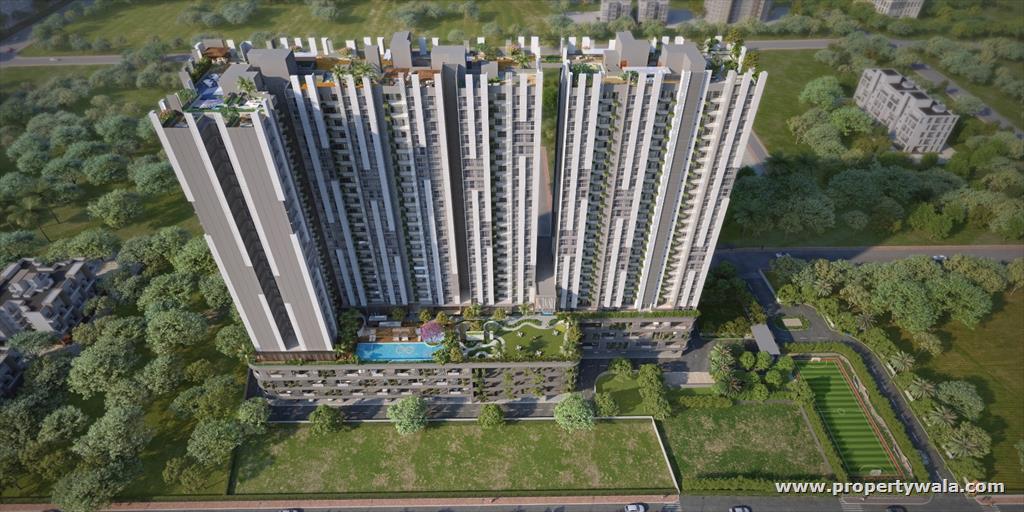 Project - Elevation