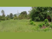 40 acres Farm Land available for sell in Mangaon, Raigad, Maharashtra at rerunnable price