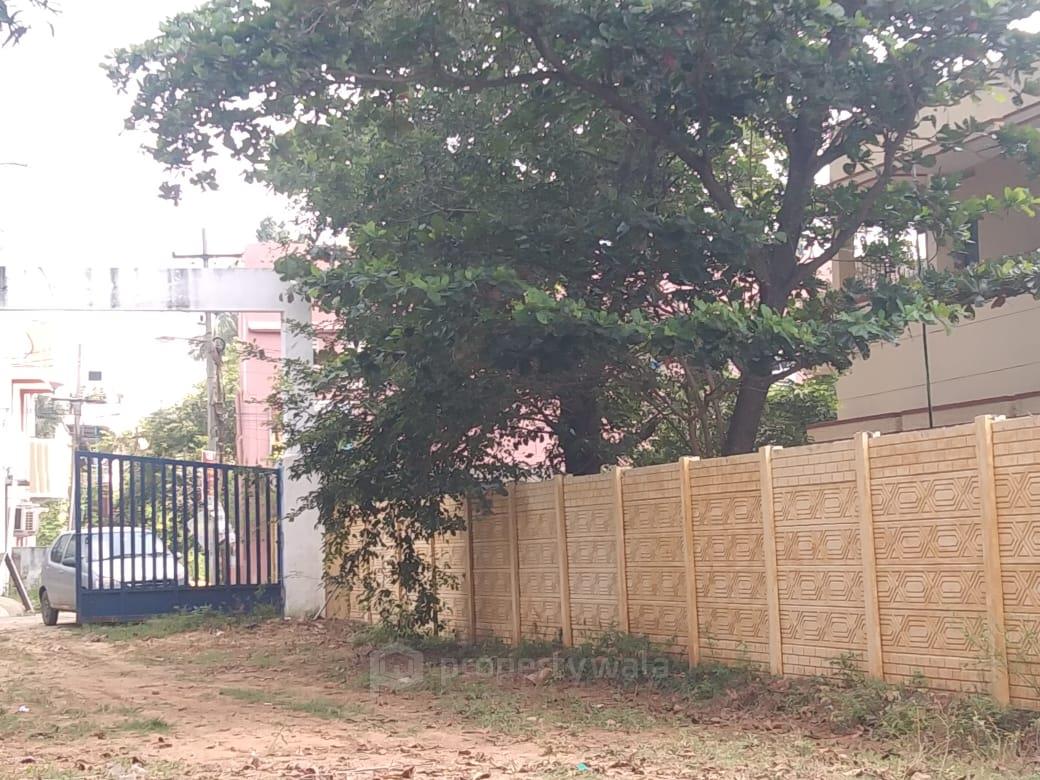 PLOT VIEW