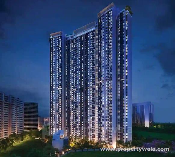 Night View