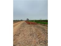 Residential Plot / Land for sale in Tappal, Aligarh