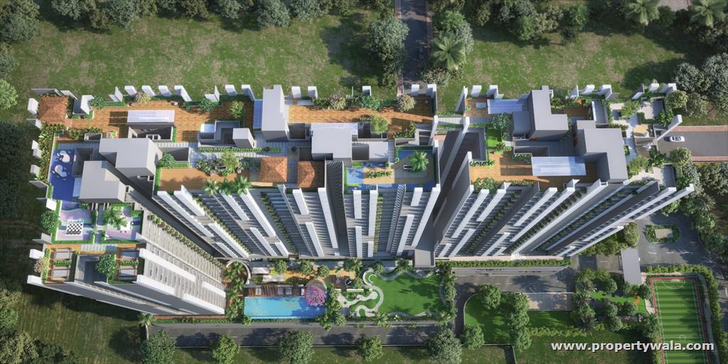 Project - Aerial View