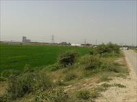 Land for sale in ACL Green Valley, Yamuna Expressway, Greater Noida