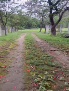 Residential Land for sale in Purandar, Pune