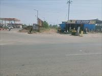 Prime Commercial Land in Mangaon City