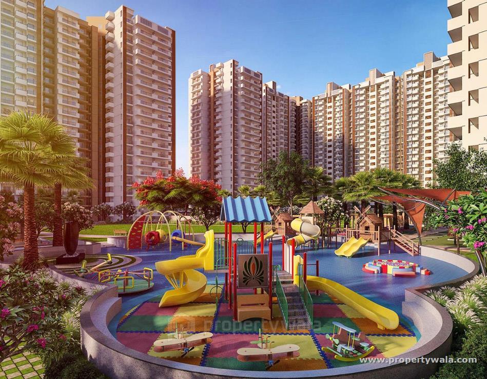 Playing Area