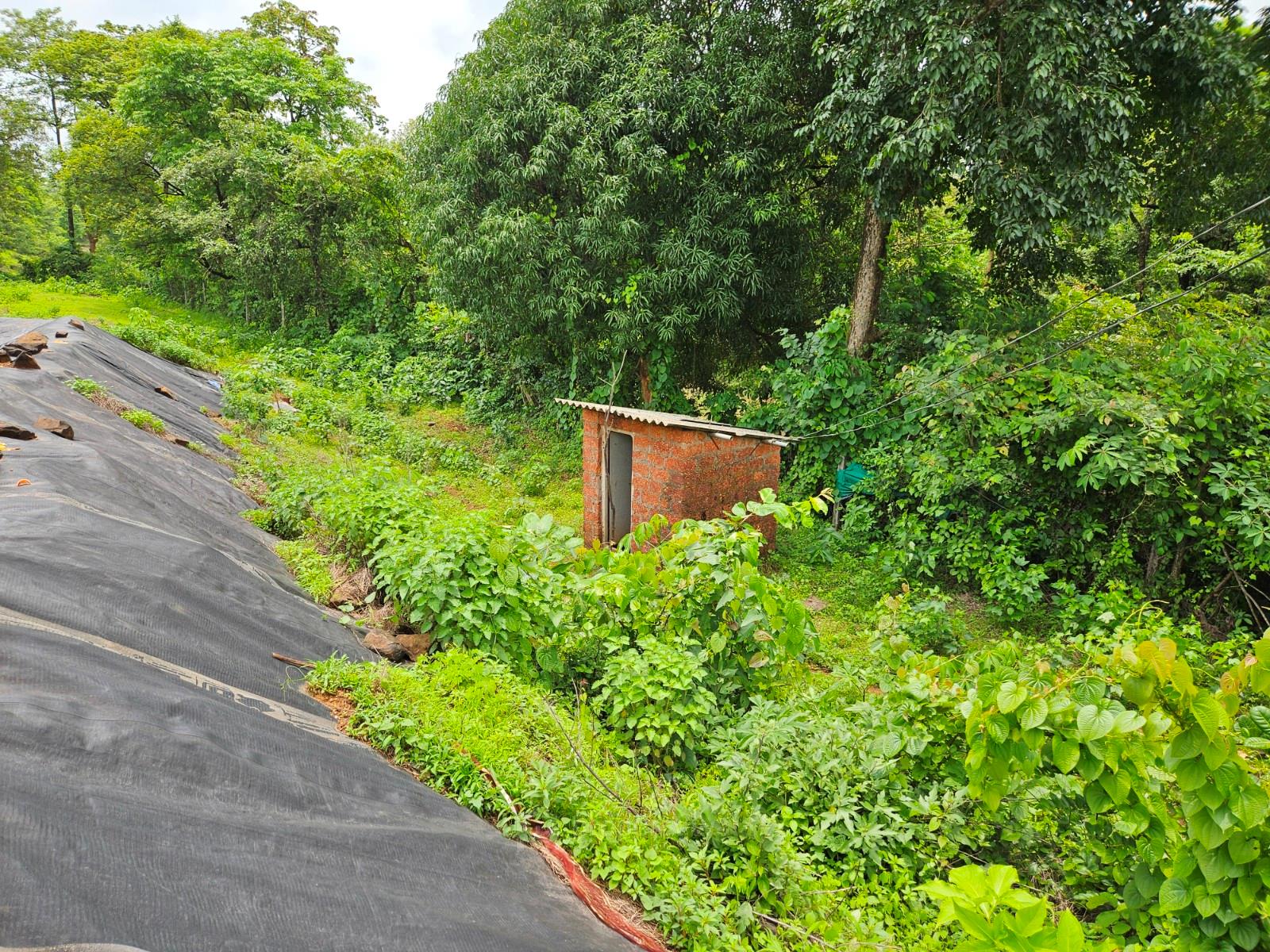 Borewell