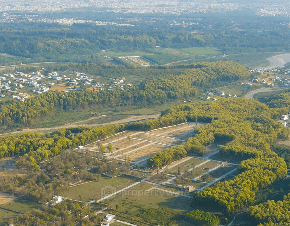 Overview